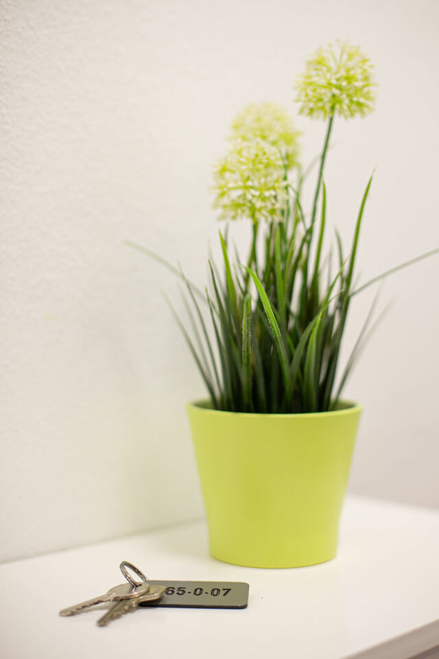 Ferienwohnung in Fehmarn - Fewo Krabbe - Bild 15