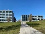 Ferienwohnung in Kellenhusen - FeWo Dietze 2-1-09 Strandappartements am Leuchturmweg - Bild 14