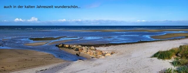 Ferienwohnung in Wendtorf - Strandläufer - Bild 18
