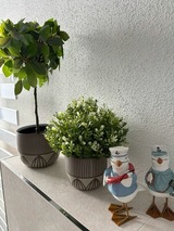 Ferienwohnung in Ostseeheilbad Zingst - Ostseemöwe NEU - Bild 20