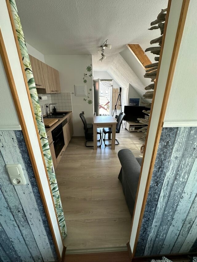 Ferienwohnung in Ostseeheilbad Zingst - Villa Blau Wohnung 03/Studio - Bild 3