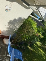 Ferienwohnung in Ostseeheilbad Zingst - Fewo Kranich 36 - Bild 18