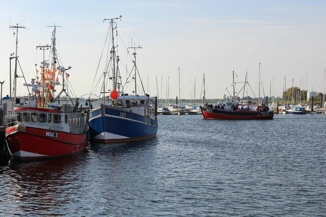 Ferienwohnung in Fehmarn OT Petersdorf - Ferienwohnung Husheer - Bild 15