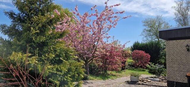 Bungalow in Lensterstrand - Haus "Atlantis" - Bild 25