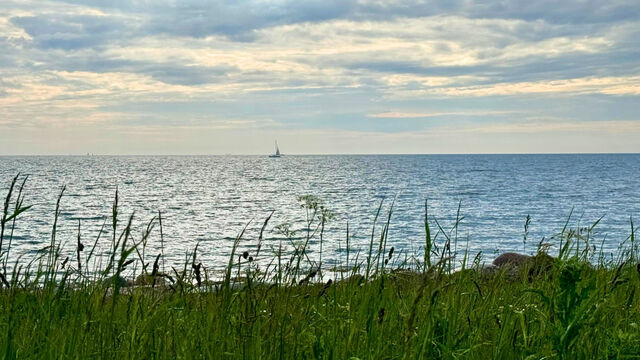 Ferienwohnung in Großenbrode - Möwennest 13 - Großenbrode - Bild 21