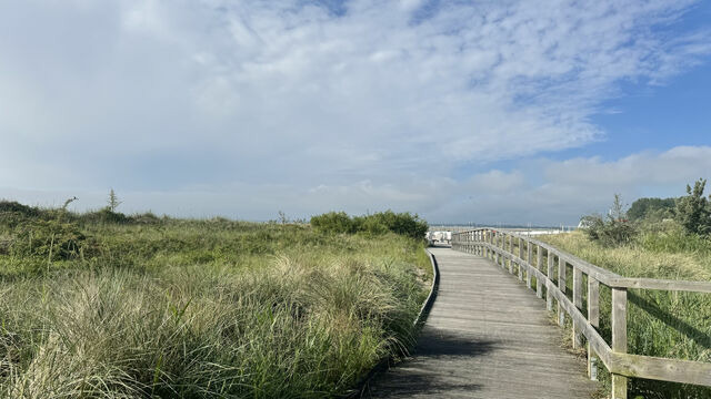 Ferienwohnung in Großenbrode - Möwennest 13 - Großenbrode - Bild 25