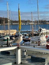 Ferienwohnung in Eckernf&ouml;rde - Apartment 2 - "Am Leuchtfeuer 2" - Blickrichtung Yacht-, Binnenhafen und offene See - Bild 17