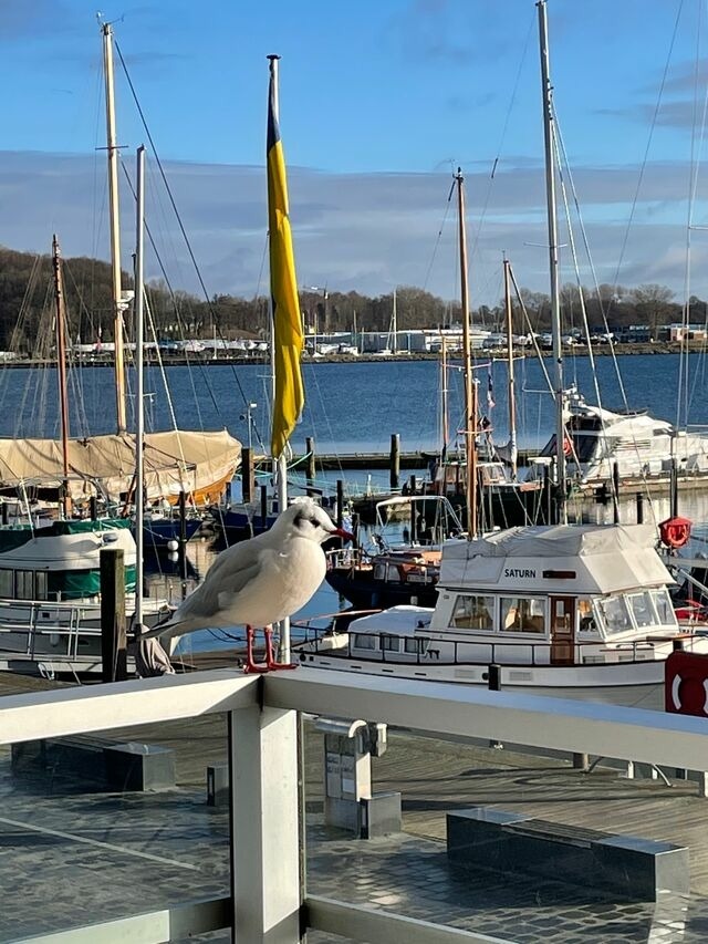 Ferienwohnung in Eckernf&ouml;rde - Apartment 2 - "Am Leuchtfeuer 2" - Blickrichtung Yacht-, Binnenhafen und offene See - Bild 17