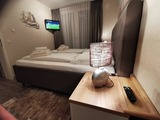 Ferienwohnung in Eckernf&ouml;rde - Apartment 2 - "Am Leuchtfeuer 2" - Blickrichtung Yacht-, Binnenhafen und offene See - Bild 21