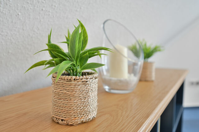 Ferienwohnung in Kellenhusen - FeWo Vaupel Nr. 8 - Bild 15