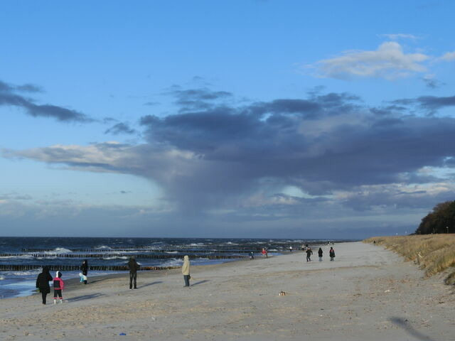 Ferienwohnung in Ostseeheilbad Zingst - Sun & Sea/ Whg. 5 - Bild 22