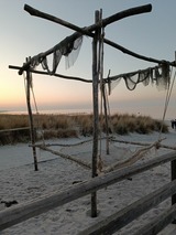 Ferienwohnung in Zingst - Ostseemeerchen - Bild 1