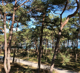 Ferienhaus in Baabe - Strandlust 252 - Bild 19