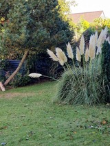 Ferienwohnung in Fehmarn OT Neue Tiefe - Ferienwohnung Albrecht - Bild 18