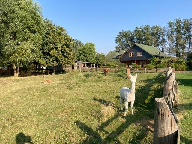 Doppelzimmer in Börgerende-Rethwisch - Hus un Köken - 6 - Bild 9