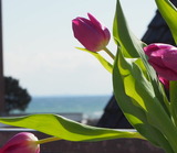 Ferienwohnung in Grömitz - Haus Jutta - Appartement 7 - Bild 12