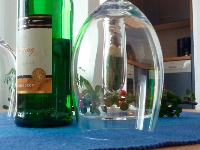 Ferienwohnung in Gr&ouml;mitz - Haus Jutta - Appartement 5 - Bild 5