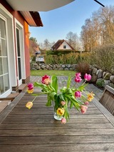 Ferienwohnung in Ostseeheilbad Zingst - Magister Wigbold 3.1 - Bild 23