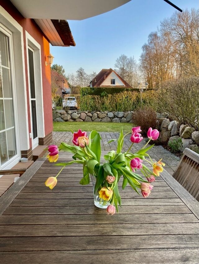 Ferienwohnung in Ostseeheilbad Zingst - Magister Wigbold 3.1 - Bild 23