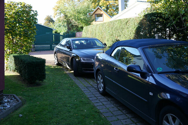 Ferienwohnung in Ostseeheilbad Zingst - Magister Wigbold 3.1 - Bild 25