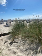 Ferienwohnung in Gr&ouml;mitz - Gr&ouml;mitz Strandburg App. 24, Sch&uuml;tzentra&szlig;e - Bild 22