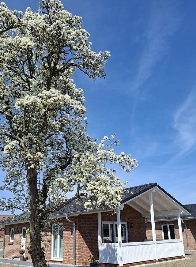 Ferienhaus in Grömitz - Hof Hagen - "Am Birnenbaum" (Neubau) - Bild 3