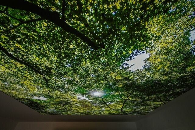 Ferienwohnung in Dahme - Lichtermeer 2.0 - Bild 22