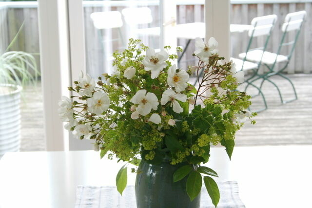 Ferienwohnung in Gelting - Janbecks FAIRhaus - Ferienwohnung Wolken - Bild 10