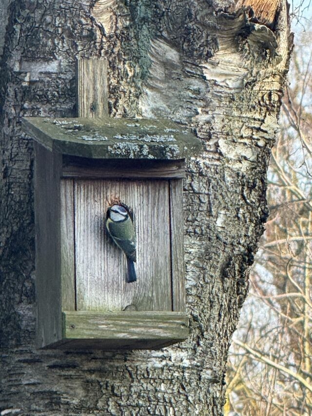 Ferienhaus in Haby - Fertigstellung 1.12.2026 - Bild 9