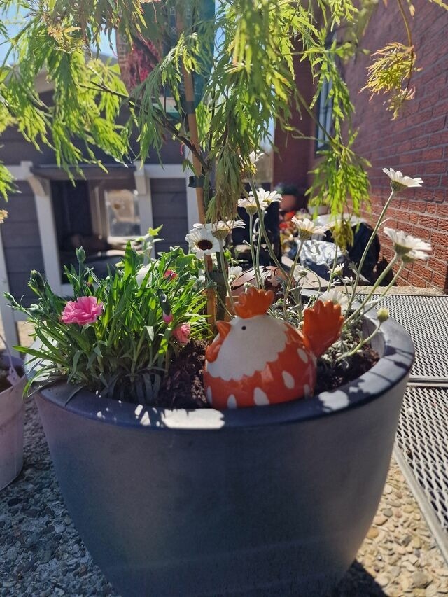 Ferienwohnung in Fehmarn OT Burg - Haus Fehmarn am Dorfteich | Wohnung 3 Nord - Bild 11