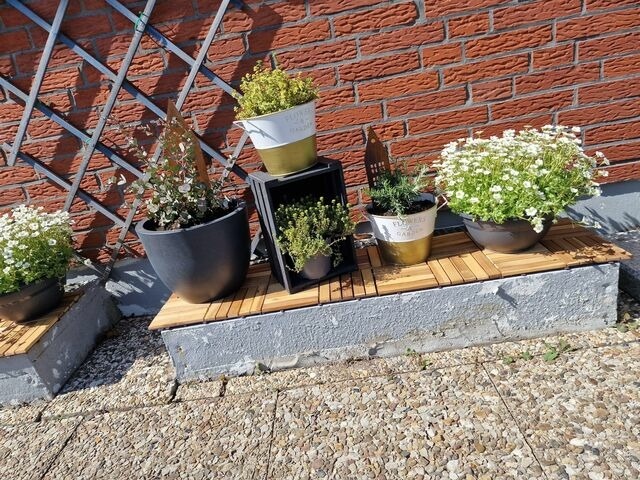 Ferienwohnung in Fehmarn OT Burg - Haus Fehmarn am Dorfteich | Wohnung 3 Nord - Bild 23