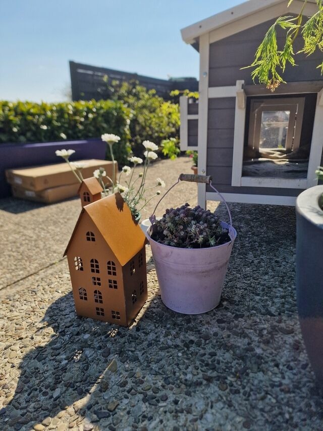 Ferienwohnung in Fehmarn - Haus Fehmarn am Dorfteich | Wohnung 1 Süd - Bild 15