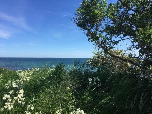 Ferienwohnung in Fehmarn OT Staberdorf - Strandapartment mit Meerblick - Bild 19