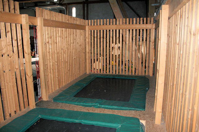 Ferienhaus in Fehmarn - Kastanie - Bild 12