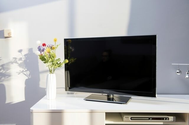 Ferienwohnung in Fehmarn OT Lemkenhafen - Kleiner Sundblick - Bild 8