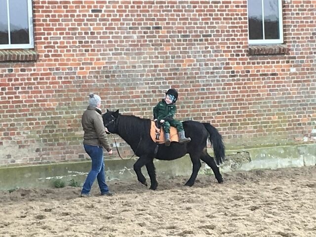 Ferienhaus in Grömitz - 90 qm Schwedenhaus - Bild 15