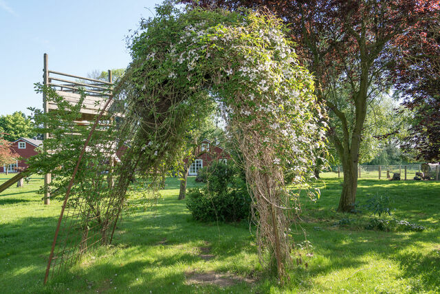 Ferienhaus in Gr&ouml;mitz - Backhaus - Bild 12