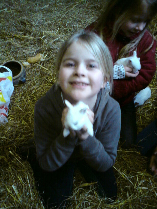 Ferienhaus in Gr&ouml;mitz - Backhaus - Bild 19