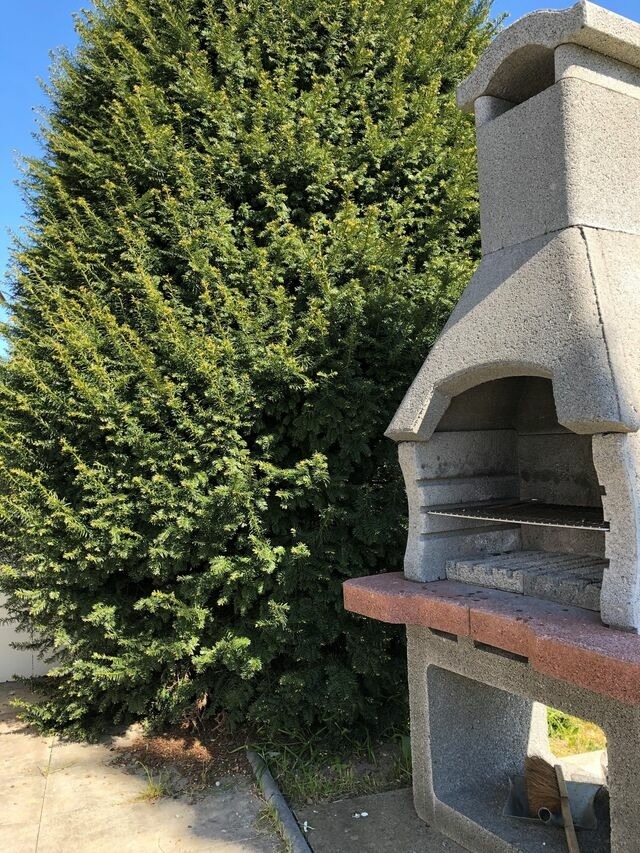 Ferienwohnung in Grömitz - Haus Frauken - Wohnung Berg - Bild 3