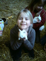 Ferienwohnung in Grömitz - Steffi - Bild 16