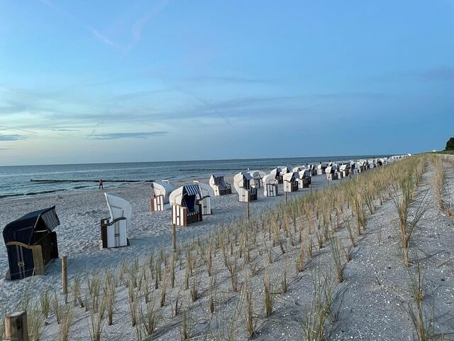 Ferienwohnung in Zingst - Whg. 07 - Mare - Bild 18