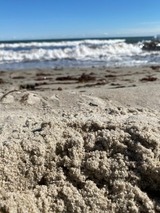 Ferienwohnung in Kellenhusen - FeWo Strandbude - Strandhotel Nr. 9 - Bild 23