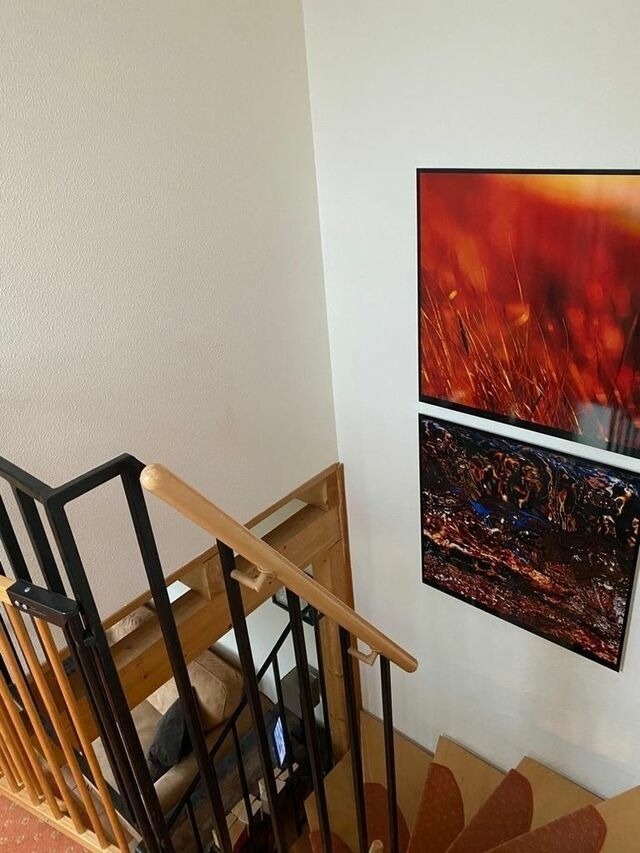 Ferienhaus in Ostseebad Nienhagen - Haus Hiddensee 13d - Bild 9