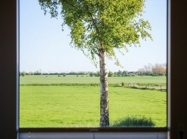 Ferienwohnung in Fehmarn OT Bannesdorf - Ferienwohnung Albert - Bild 15