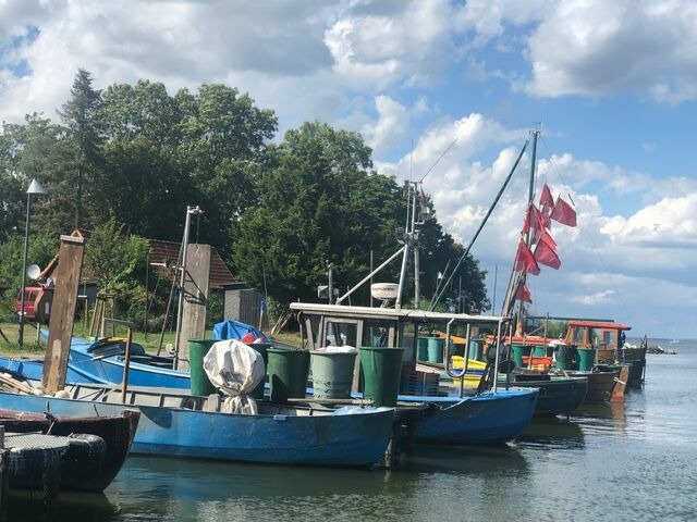 Ferienwohnung in Ueckermünde - Fewo - Haffliebe - Bild 25
