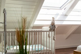 Ferienhaus in Heiligenhafen - Ferienhaus Ostseecharme mit Sauna u. Garten - Bild 23