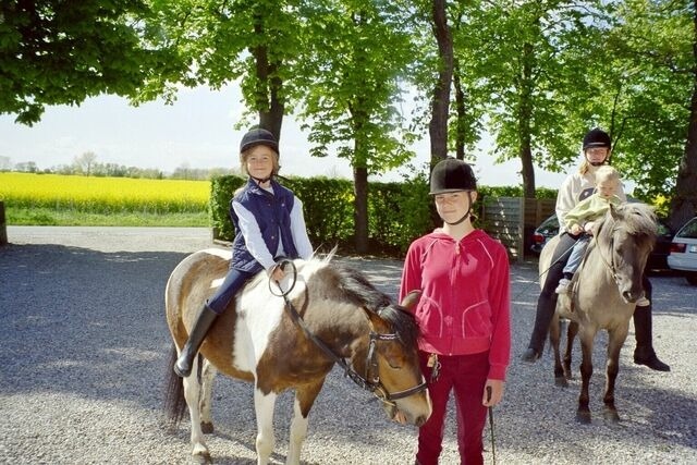 Ferienwohnung in Fehmarn OT Schlagsdorf - Bauernhof Urlaub FeWo Nr. 4 - 3-Personen - Bild 15