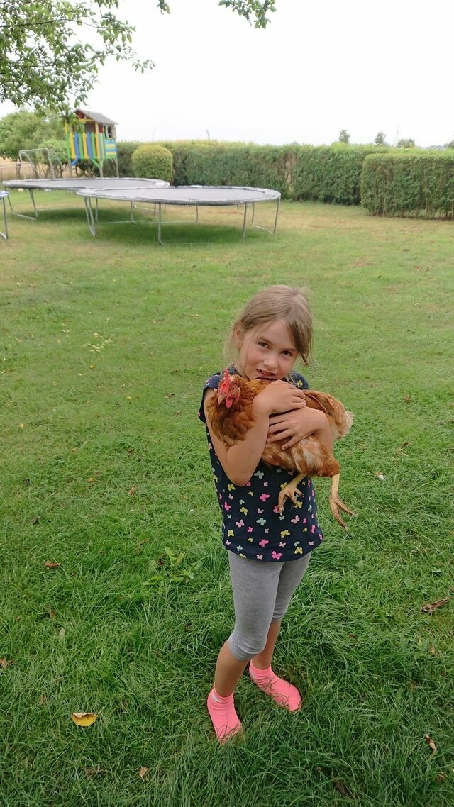 Ferienwohnung in Fehmarn OT Schlagsdorf - Bauernhof Urlaub FeWo Nr. 2 - 2-Personen - Bild 19