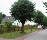 Ferienhaus in Graal-Müritz - Das kleine Ferienhaus - Bild 16