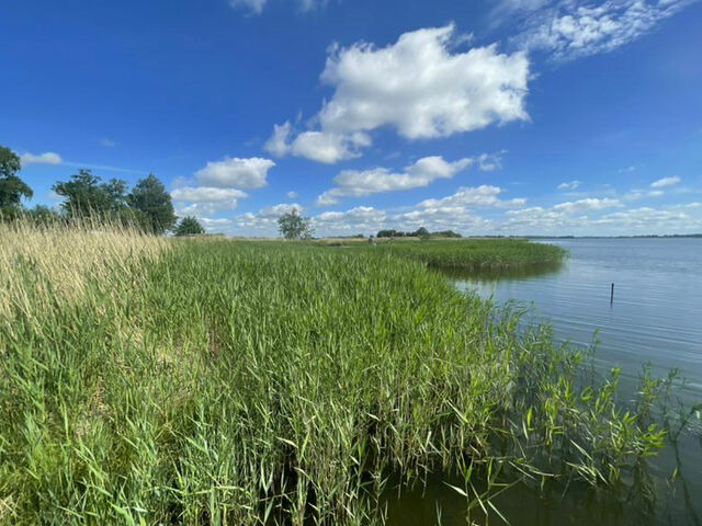 Ferienhaus in Garz - Ferienhaus R&uuml;genbrise mit 5 B&auml;dern, Steg und Boot - Bild 12